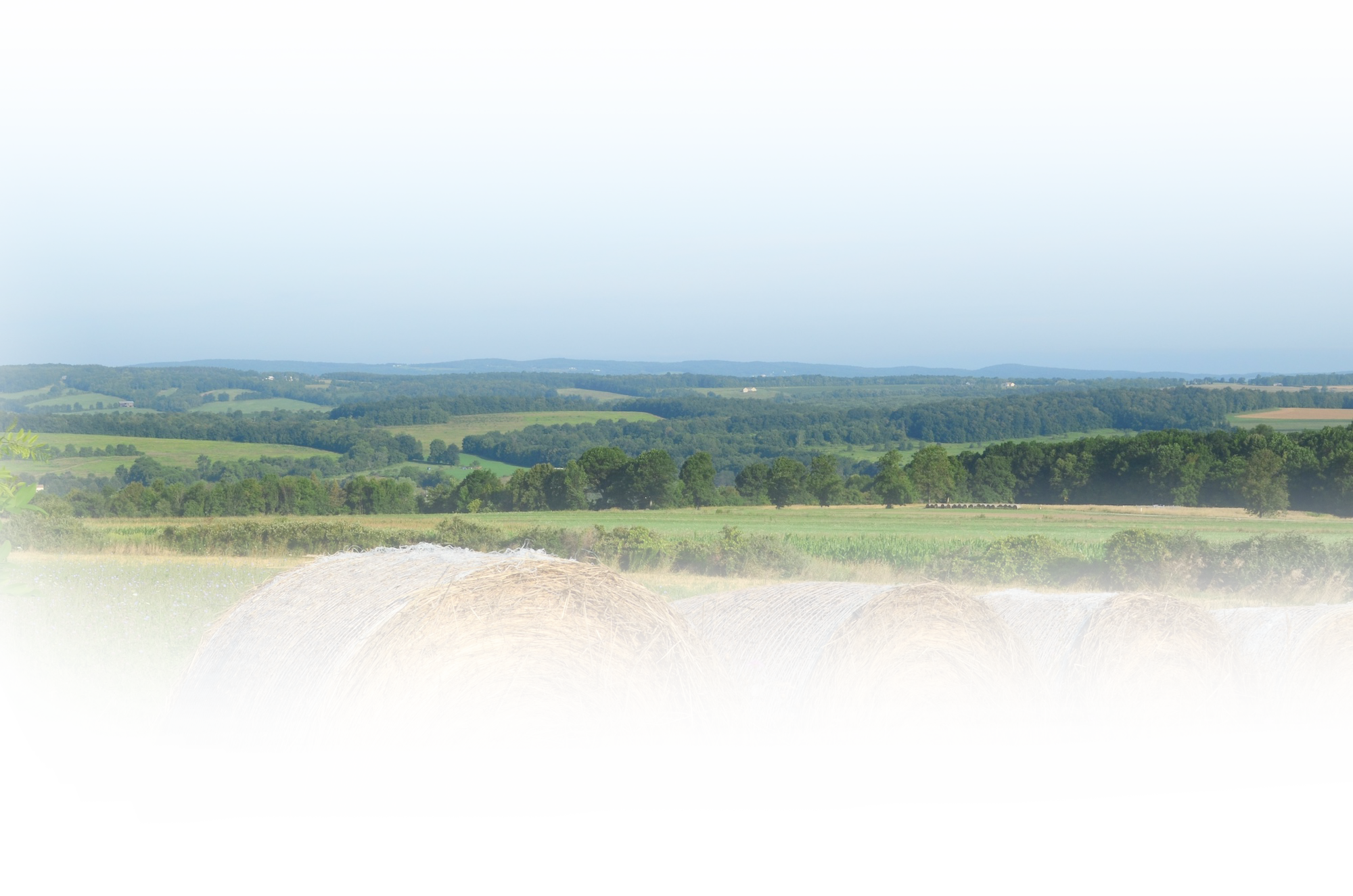 landscape background