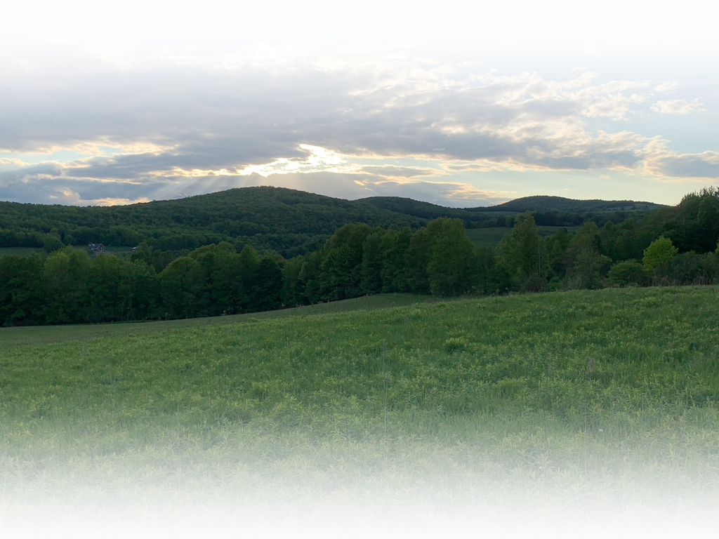 landscape background